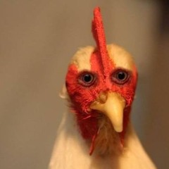 Куриная Бошка