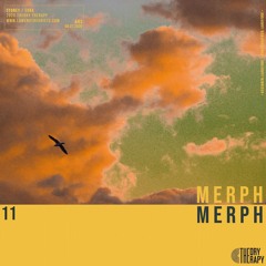 Theory Therapy 11: Merph