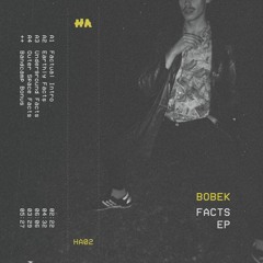 PREMIERE : Bobek - Earthly Facts