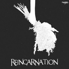 Re[in]carnation