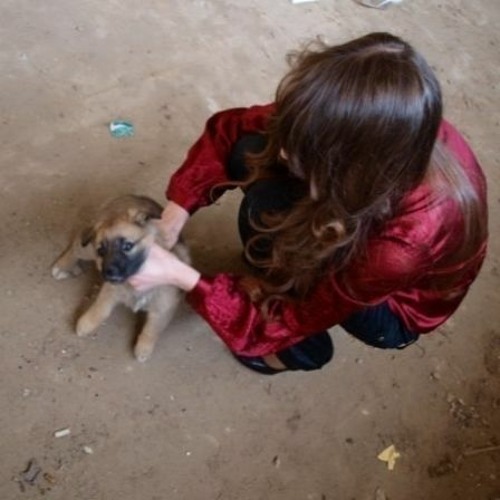 Stream Russian Crush Fetish Dog 1442MBzip [NEW] by IndiMdiza Listen