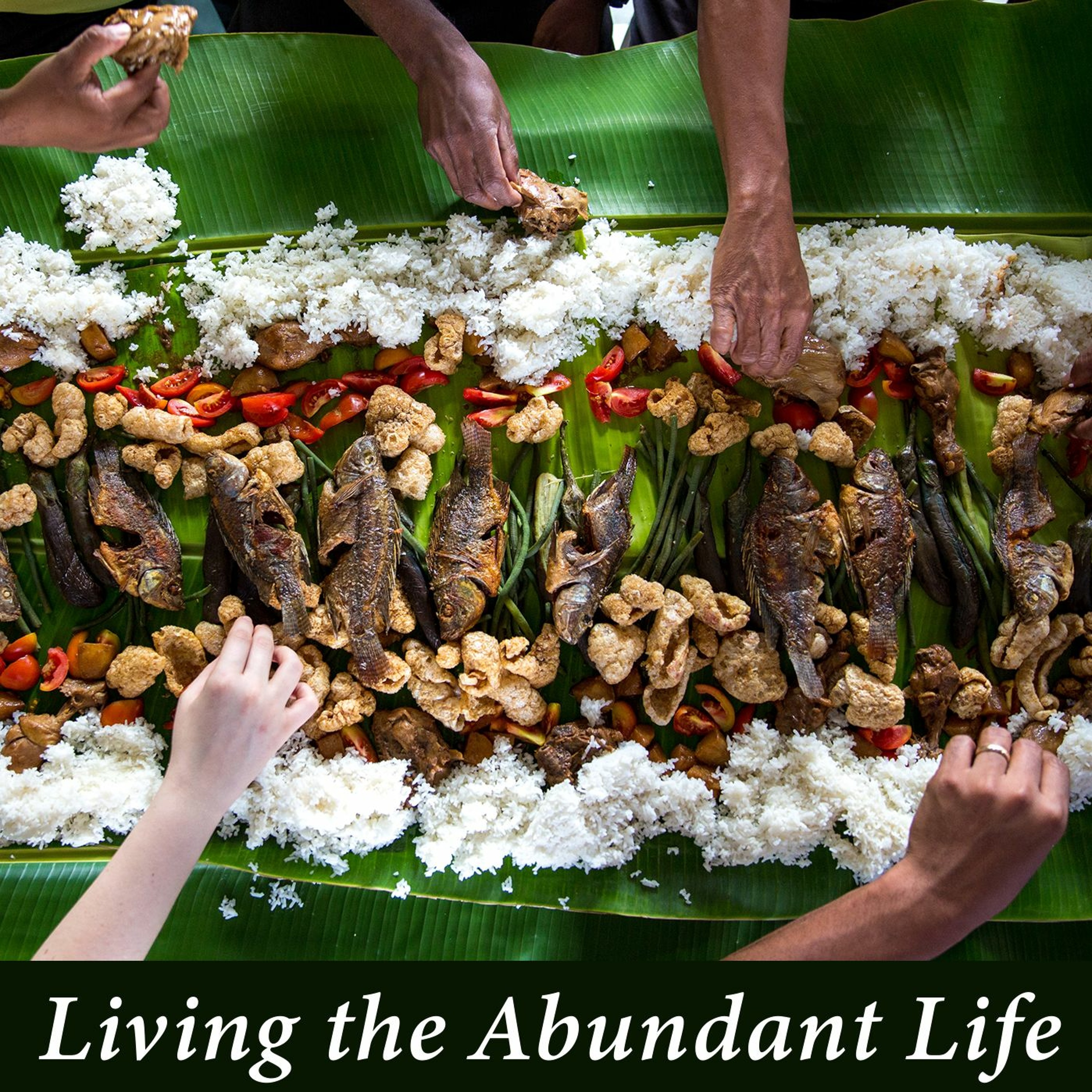 Living The Abundant Life episode artwork