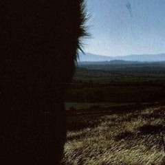 untiljapan - welcome home