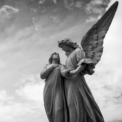 Fallen Angels