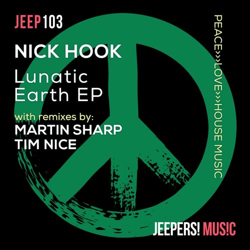 NICK HOOK - Asylum Earth - Tim Nice Remix - Edit