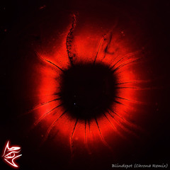 Blindspot, Pt1 (Chrona Remix) - Nurko [Melodic Dubstep]