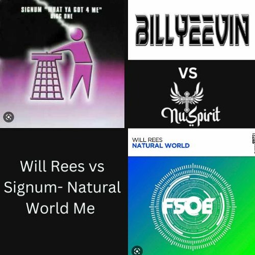 Will Rees Vs Signum - Natural World 4 Me (Nu Spirit & Billyeevin Mash)
