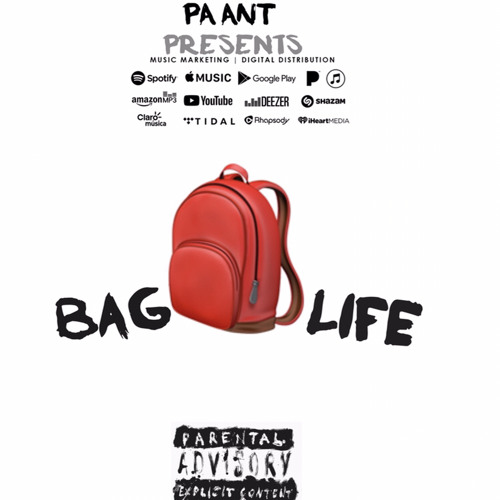 PA Ant