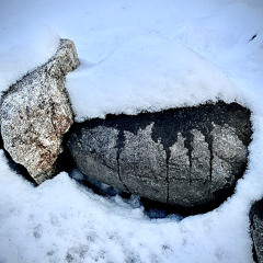 Oh, Beauty, Thou Art My Teacher