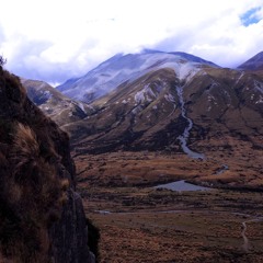 Shed Theory - Ferrari