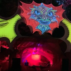 Zum1 LIve@Future Forest 2022