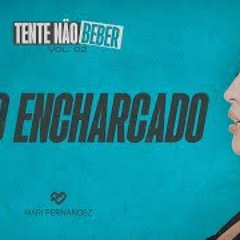OLHO ENCHARCADO - Mari Fernandez