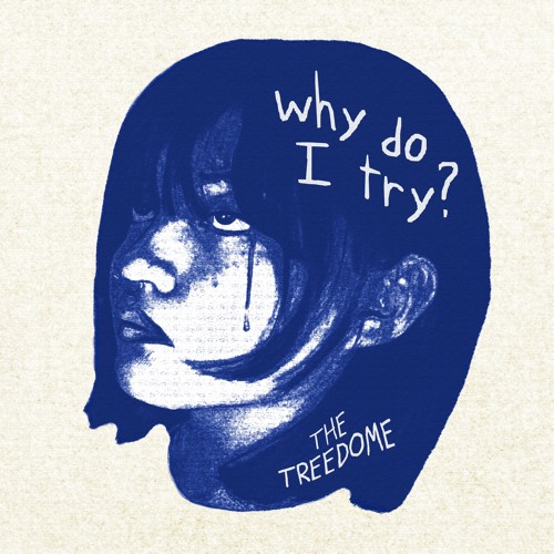 Why Do I Try?