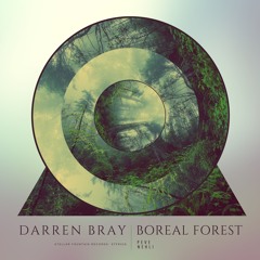 Darren Bray - Boreal Forest (Peve Radio Edit) [Stellar Fountain]