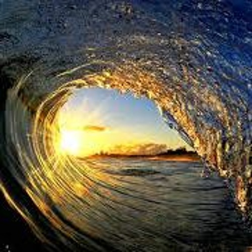 Surf'd