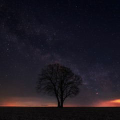 The Stillness Of The Night