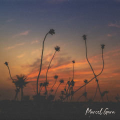 Wildflower