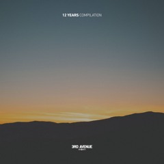 3AVLP085 | V.A 12 Years 3rd Avenue [3rd Avenue]