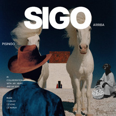 EL PISINGO – SIGO