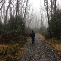 Lost Boy