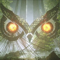 OWL Festival 2021 Re-Run