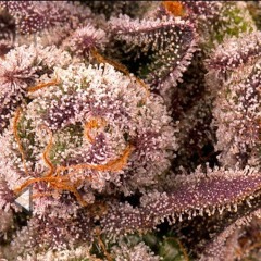 zocken üben aufnahme1