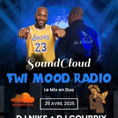 Duo Dj Niks Feat Dj ColibriX Spécial Ragga Muffin Fwi Mood