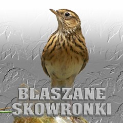 Blaszane Skowronki 46