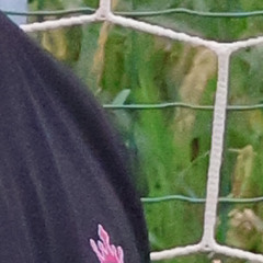 disstrack sebastian volken