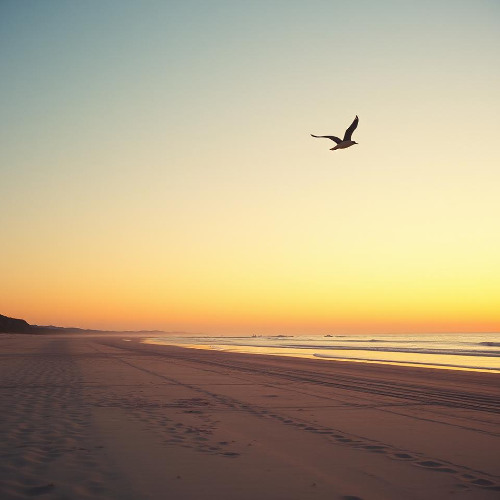 Nancy Chisholm - Being Alone