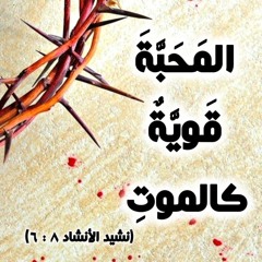 ليس شيء يفصلني عن محبة المسيح - خدمة السماء على الأرض مصر