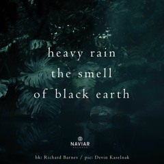 haiku #438: heavy rain / the smell / of black earth