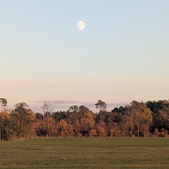 Fløat @ Roter Salon Bau122 01.11.25
