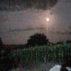 Coxkie - I DONT KNOW