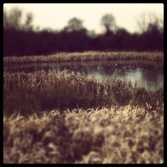 On Hallowed Ground Full Mix Mastered 1644