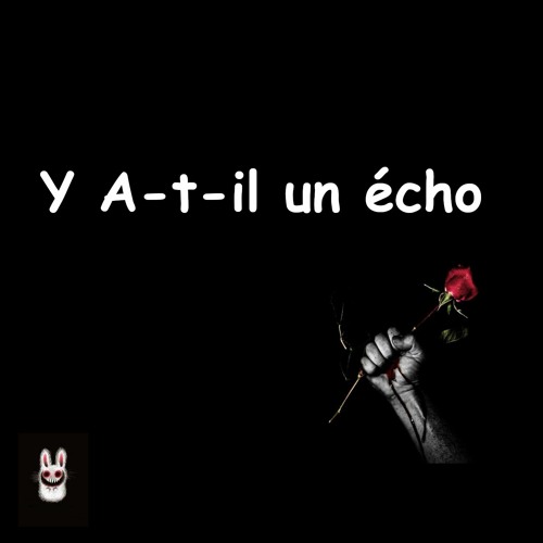 Y A-t-il un écho