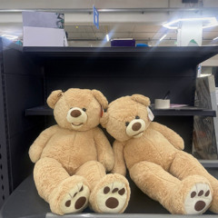 Teddy House