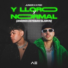 FEID X JUNIOR H - Y LLORO VS NORMAL [ANDRES ESTEBAN SLAM IN] | 𝐅𝐑𝐄𝐄 𝐄𝐃𝐈𝐓 🔥