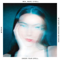Under Your Spell (Radio Mix)