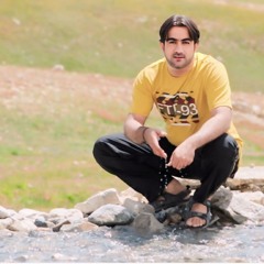 Kochi_da_laila_saba_ba_khpal_watan_ta_zeena____Musharaf_bangash____Pashto_new_song(256k).mp3