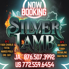 REAL ROCK SILVER LAMB MIX