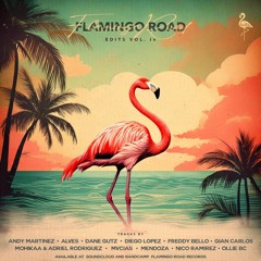 Flamingo Road Edits Vol.4 - New Years VA
