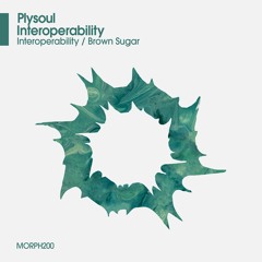 Plysoul - Interoperability (Original Mix)