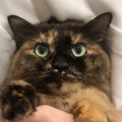 moley - abaddon (fucked by owen)