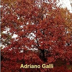 ⭐ READ EBOOK Un autunno dopo (Italian Edition) Online