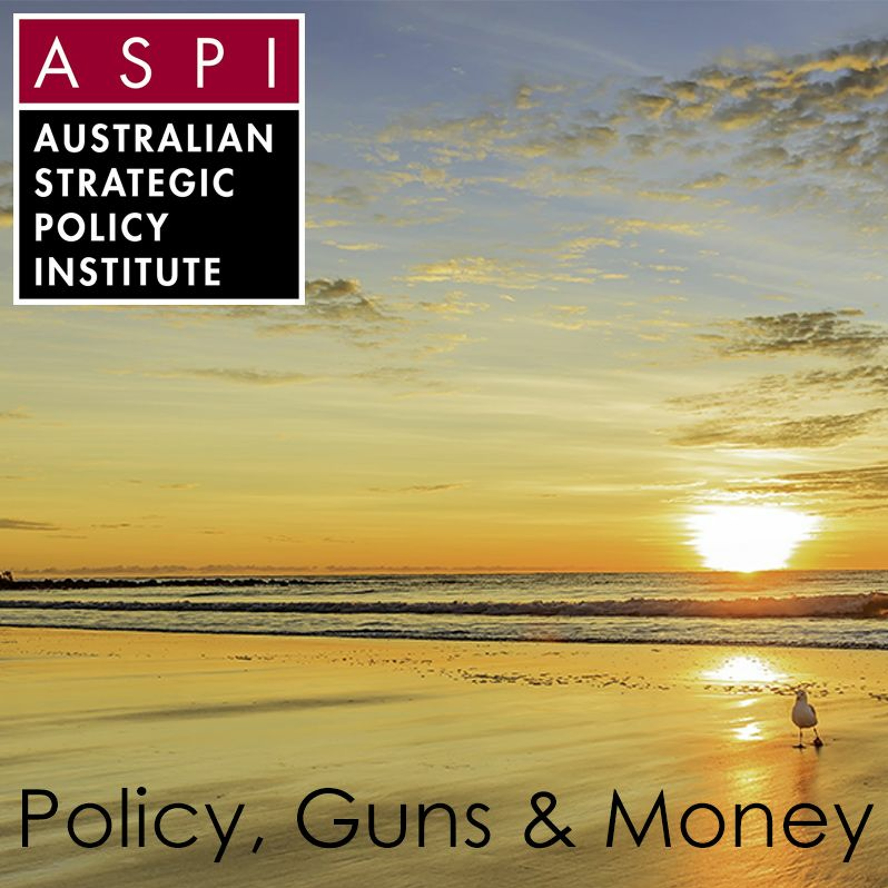 ASPI Podcast: Policy, Guns & Money
