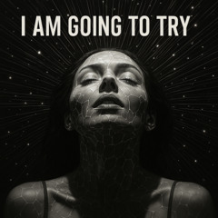 I am going to try