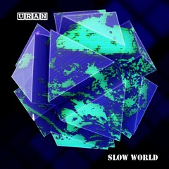 The Slow World