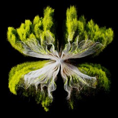 Rebūke - Along Came Polly (Konstantin Sibold, ZAC, CARMEE Remix)