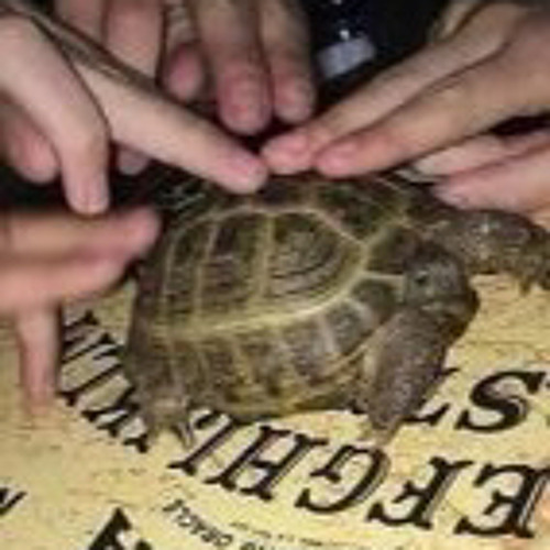 fantastic phantasm meme